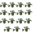 Kit Com 15 Mudas De Morango Frutas Da Sua Horta Direto Para Sua Mesa Com Manual