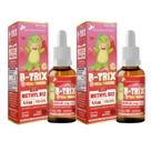 Kit Com 2 B-TRIX Vitamina B12 Kids em Gotas 20ml Flora nativa do Brasil