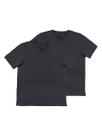 Kit com 2 Camisetas Masculina Hering 022b