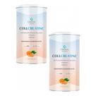 Kit com 2 Collcreatine 500g - Central Nutrition Sabor:Tangerina