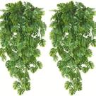 Kit Com 2 Folhagem Planta Verde Costela de Adão 65cm Kit Com 2 Folhagem Planta Verde Costela de Adão 65cm