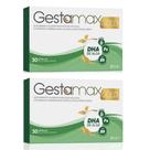 KIT com 2 Gestamax Gold Suplemento para Gestantes 30 Cáps