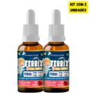 Kit com 2 l Ferrix Ferro em Gotas Infantil 30ml Suplemento Alimentar Sabor Morango