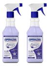 Kit Com 2 Limpador Multiuso Álcool Perfumado Desinfetante Desengordurante 500ml - Lavanda