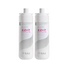 Kit Com 2 Refil Purificador Água Gelada IBBL CZ+7 Original