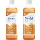 Kit com 2 Soralyt Reidratante Líquido 450ml Minerais e Carboidratos, Sabor Laranja Sobral