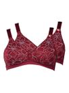 Kit com 2 Sutiãs Sustentação Olimpo Anizete Demillus 61741 Taça B