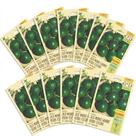 Kit Com 20 Cartelas Sementes de Jiló Verde Escuro Morro Grande -1,00g Kit Com 20 Cartelas Sementes de Jiló Verde Escuro Morro Grande -1,00g