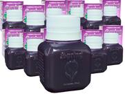 Kit com 24 Cheirinhos Para Carros Spring Odorizante fragrância Uva - 42ml