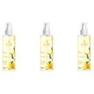 Kit com 3 Agua de banho 220ml Aroma:Vanila