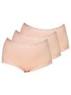 Kit com 3 Calcinhas Alta Star Max Triumph 24649