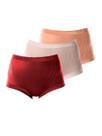 Kit com 3 Calcinhas Demillus 26406 Colorido