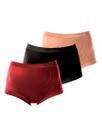 Kit com 3 Calcinhas Demillus 26406 Colorido