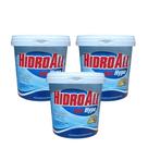 Kit Com 3 Cloradores Granulado Para Limpeza Em Piscinas Hcl Hypo Hidroall 1kg