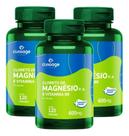 Kit com 3 cloreto de magnesio 120 capsulas clinoage