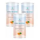 Kit com 3 Collcreatine 500g - Central Nutrition Sabor:Tangerina