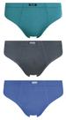 Kit Com 3 Cuecas Slip Algodão Infanto Juvenil P Ao EG