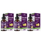 Kit Com 3 - Curculiv Curcumina Com Colágeno Tipo II 30ml Kit Com 3 - Curculiv Curcumina Com Colágeno Tipo II 30ml