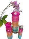 Kit Com 3 Garrafa De Água Squeeze Galão 2l Litros Motivacional Academia