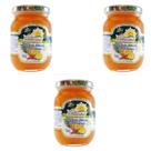 Kit com 3 Geleia Extra de Abacaxi com Pimenta - 330g - Fazenda Sonnenhof