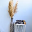 Kit com 3 Hastes de Capim Dos Pampas Desidratado