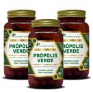 Kit Com 3 - Própolis Verde 60 Capsulas de 500mg Flora Nativa do Brasil Kit Com 3 - Própolis Verde 60 Capsulas de 500mg Flora Nativa do Brasil