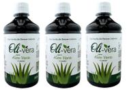 Kit com 3 Suco de Babosa (Aloe Vera) - Limão