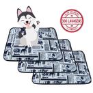 Kit com 3 Tapetinhos Alta Absorção para Pets 70x50 Jornal 3 Camadas - 300 Lavagens