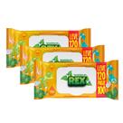 Kit Com 3 Toalha Umedecida Turminha Do Rex Leve 120 Pague 100 Unidades