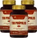 Kit Com 3 - Tri Própolis (Vermelha, Verde e Marrom) 60 Caps de 500mg Flora Nativa do Brasil Kit Com 3 - Tri Própolis (Vermelha, Verde e Marrom) 60 Caps de 500mg Flora Nativa do Brasil