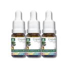 Kit com 3 Unidades Óleo de ALECRIM pronto para pele 100% Natural 30ml - WNF