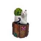 kit com 3 Vasos Gatinho Cachepô Cerâmica Decoração