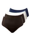 Kit com 4 Calcinhas Alta Chanson Demillus 57850 Kit com 4 Calcinhas Alta Chanson Demillus 57850
