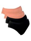Kit com 4 Calcinhas Alta Lithos Demillus 26014/56014