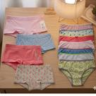 Kit com 4 Calcinhas Boxer e 5 Tradicionais em Cores Variadas