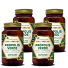 Kit Com 4 - Própolis Verde 60 Capsulas de 500mg Flora Nativa do Brasil Kit Com 4 - Própolis Verde 60 Capsulas de 500mg Flora Nativa do Brasil