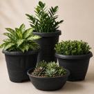 Kit com 4 Vasos Redondo Texturizados Decorativos Para Plantas Flor Jardim Temperos Suculentas