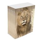 Kit com 5 Bíblias do Leão no campo de trigo - Brochura - NTLH