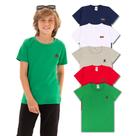Kit com 5 Camisetas Básicas Infantil menino Versátil Confortável e Coloridas menino