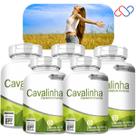 Kit com 5 Cavalinha 500mg 300 Cápsulas