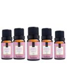Kit com 5 Essencias Perfumadas Lavanda Francesa Via Aroma