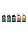 Kit com 5 óleos capilares 60ml bioflat