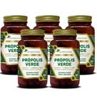 Kit Com 5 - Própolis Verde 60 Capsulas de 500mg Flora Nativa do Brasil Kit Com 5 - Própolis Verde 60 Capsulas de 500mg Flora Nativa do Brasil