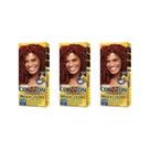 Kit com 5 Tintura Cor&Ton Vermelho Cereja Min Kit 6.646