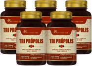 Kit Com 5 - Tri Própolis (Vermelha, Verde e Marrom) 60 Caps de 500mg Flora Nativa do Brasil
