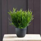 Kit com 6 buques de bambu 35 cm Planta Artificial para decoração de Sala jardim arranjos