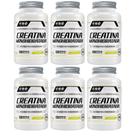 Kit Com 6 - Creatina 100% Pura 500Mg 120 Capsulas FNB Sport Nutrition Kit Com 6 - Creatina 100% Pura 500Mg 120 Capsulas FNB Sport Nutrition