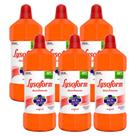 Kit com 6 Desinfetantes Lysoform Bruto Uso Geral Original 1l cada