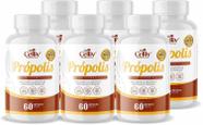 Kit Com 6 - Extrato de Própolis 60 Capsulas de 500mg Celliv