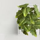 Kit com 6 Folhagem Verde Artificial Caladium Para Vasos Decorativos